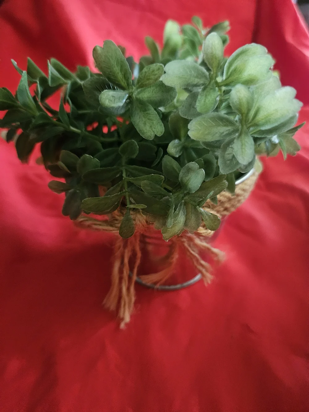 Hobby Lobby Green Faux Boxwood in Twine-Trimmed Silver Buckets